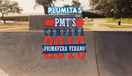 Plumitas